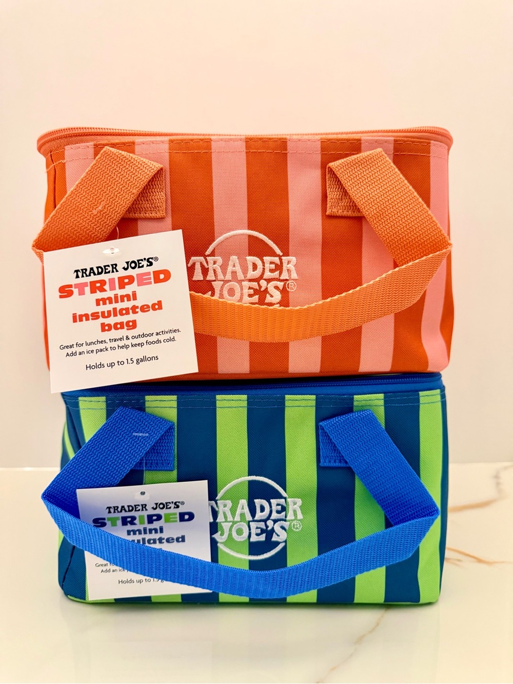 Trader Joe's 2026 Mini Insulated Bag set of 2